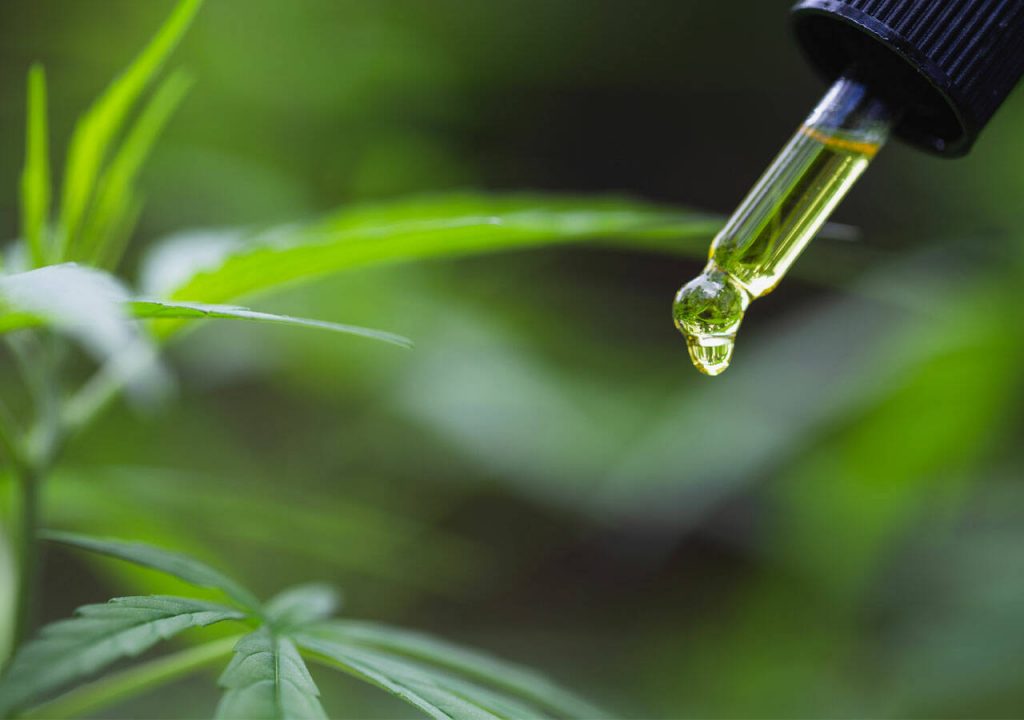 cbd oil for pain