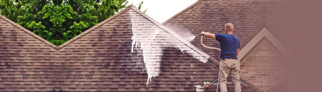 Roof Cleaning 