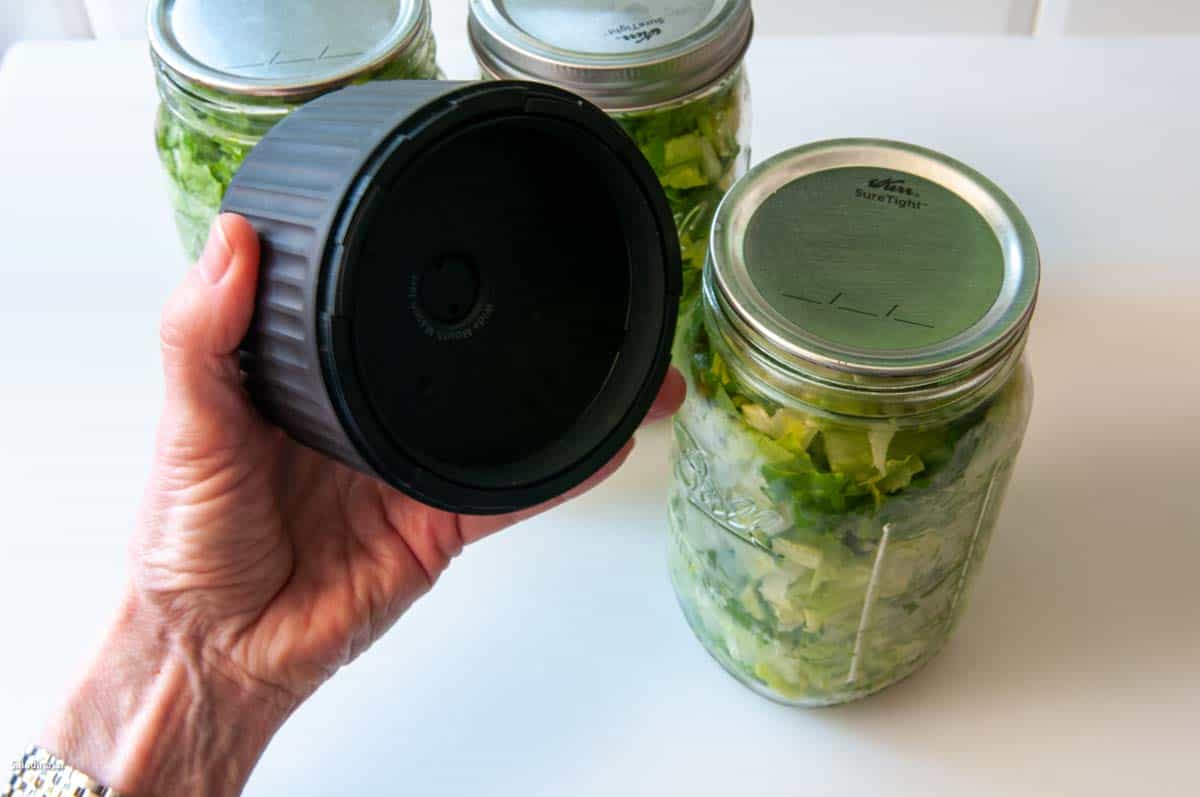 Reliable Vacuum Sealing Solutions Boost Shelf Stability For Multiple Food Categories